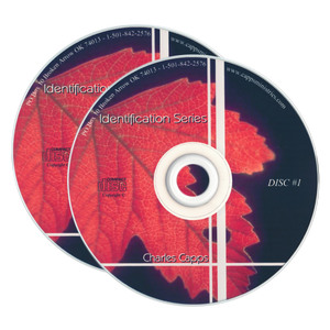 Identification Series, by Charles Capps